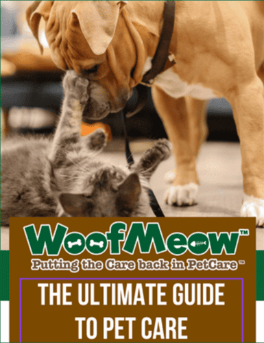 The ultimate Guide to Pet Care